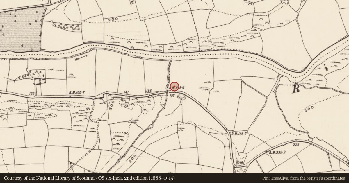 Ordnance Survey six-inch map, 2nd edition (1888–1915) covering the location of Castle - Anglo-Norman masonry castle, Aglish, County Cork, with a pin at the register's coordinates