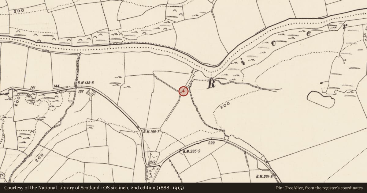Ordnance Survey six-inch map, 2nd edition (1888–1915) covering the location of Fulacht fia, Aglish, County Cork, with a pin at the register's coordinates