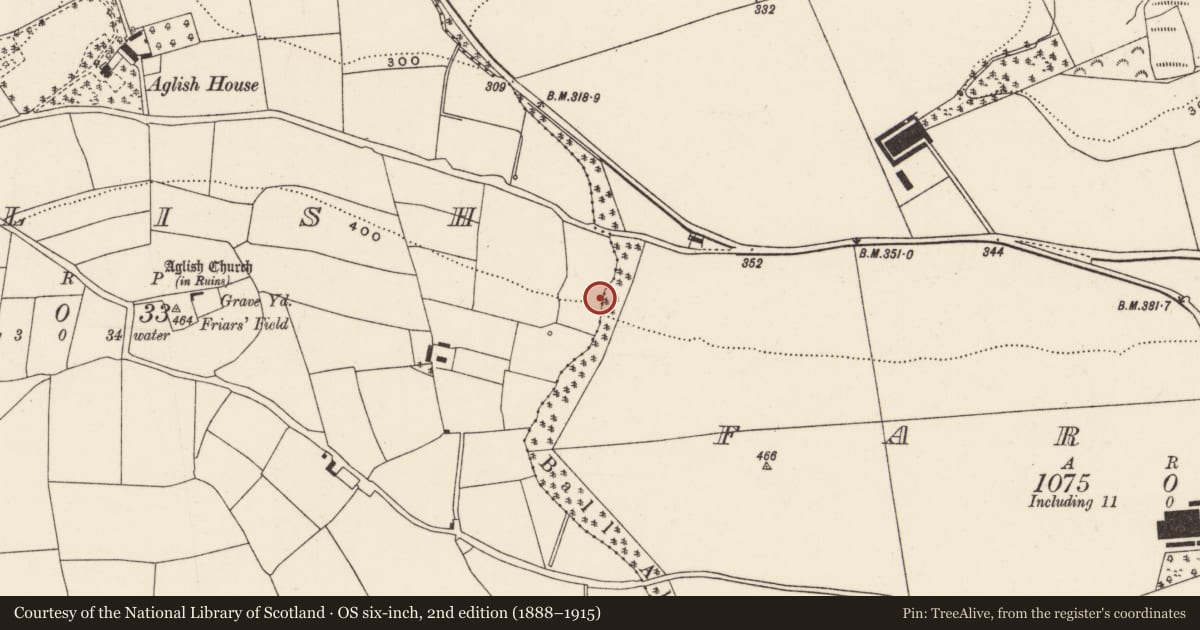 Ordnance Survey six-inch map, 2nd edition (1888–1915) covering the location of Fulacht fia, Aglish, County Cork, with a pin at the register's coordinates