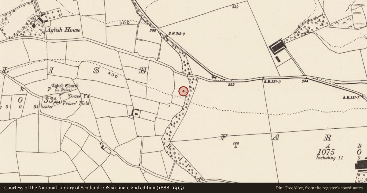 Ordnance Survey six-inch map, 2nd edition (1888–1915) covering the location of Fulacht fia, Aglish, County Cork, with a pin at the register's coordinates