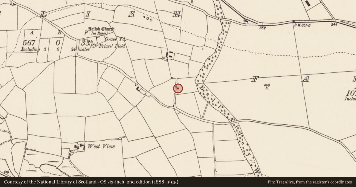 Ordnance Survey six-inch map, 2nd edition (1888–1915) covering the location of Fulacht fia, Aglish, County Cork, with a pin at the register's coordinates