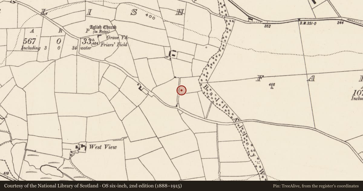 Ordnance Survey six-inch map, 2nd edition (1888–1915) covering the location of Fulacht fia, Aglish, County Cork, with a pin at the register's coordinates