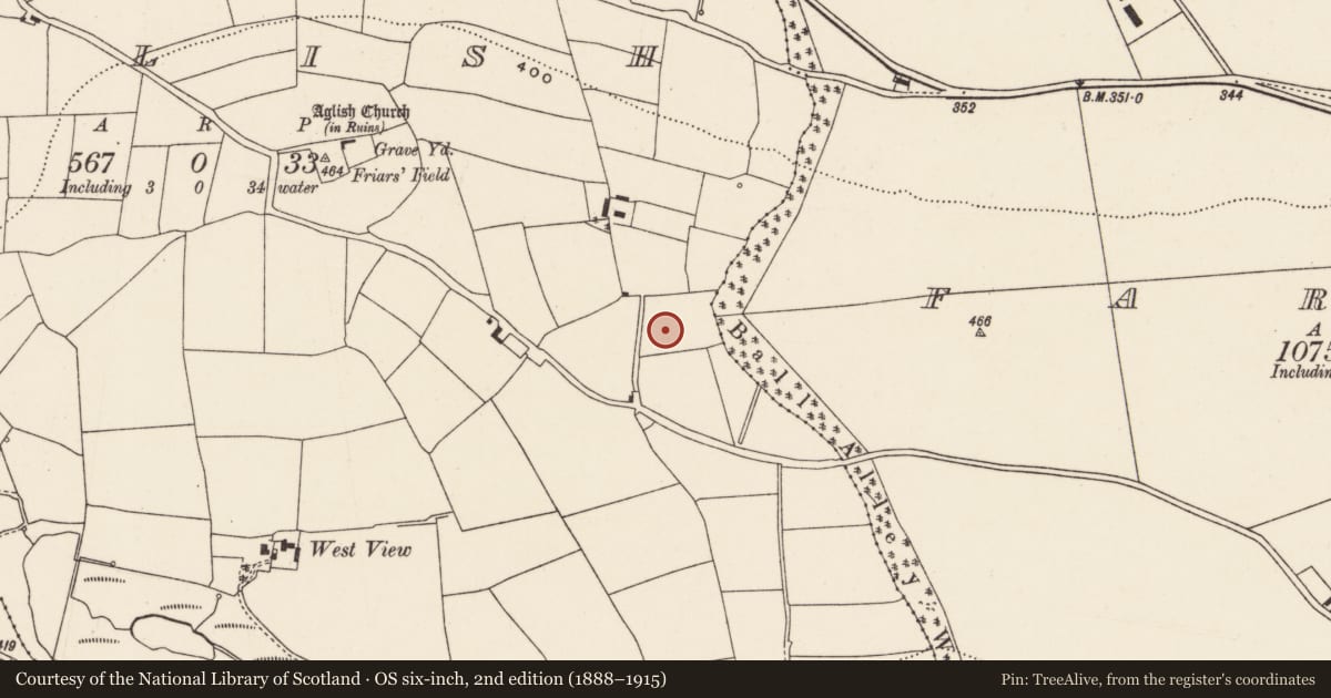 Ordnance Survey six-inch map, 2nd edition (1888–1915) covering the location of Fulacht fia, Aglish, County Cork, with a pin at the register's coordinates