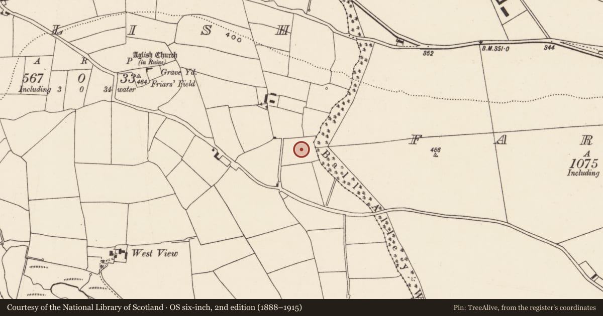 Ordnance Survey six-inch map, 2nd edition (1888–1915) covering the location of Fulacht fia, Aglish, County Cork, with a pin at the register's coordinates