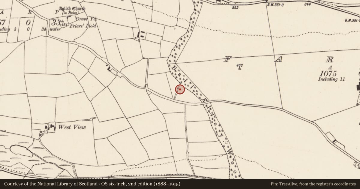 Ordnance Survey six-inch map, 2nd edition (1888–1915) covering the location of Fulacht fia, Aglish, County Cork, with a pin at the register's coordinates