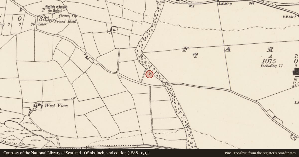 Ordnance Survey six-inch map, 2nd edition (1888–1915) covering the location of Fulacht fia, Aglish, County Cork, with a pin at the register's coordinates