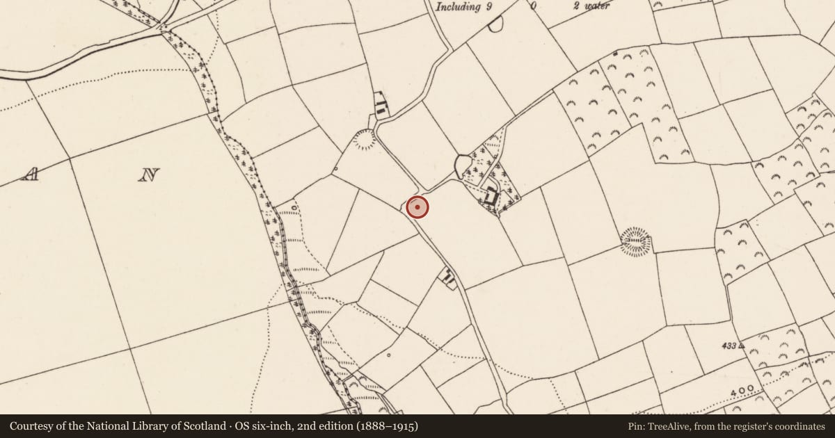 Ordnance Survey six-inch map, 2nd edition (1888–1915) covering the location of Standing stone, Ballineadig, County Cork, with a pin at the register's coordinates