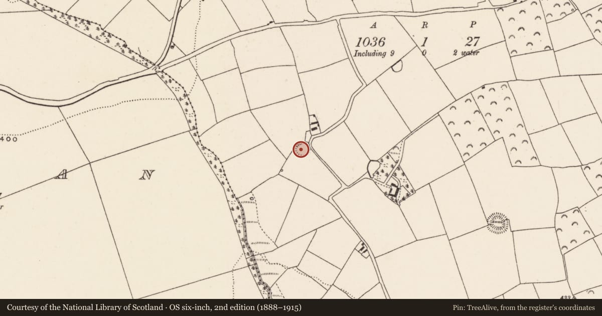 Ordnance Survey six-inch map, 2nd edition (1888–1915) covering the location of Souterrain, Ballineadig, County Cork, with a pin at the register's coordinates