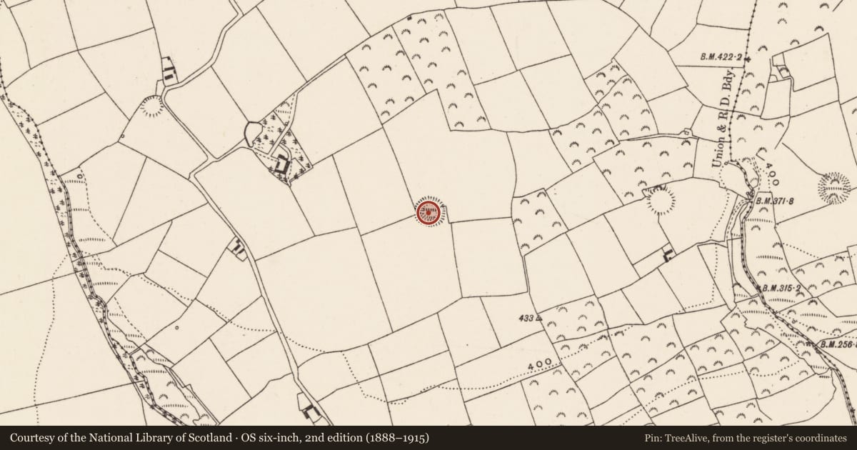 Ordnance Survey six-inch map, 2nd edition (1888–1915) covering the location of Ringfort - rath, Ballineadig, County Cork, with a pin at the register's coordinates