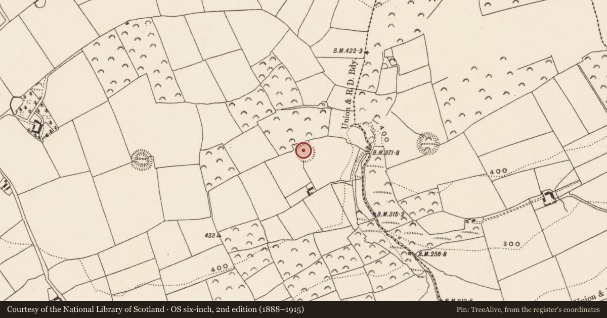 Ordnance Survey six-inch map, 2nd edition (1888–1915) covering the location of Ringfort - rath, Ballineadig, County Cork, with a pin at the register's coordinates