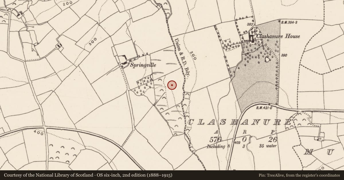 Ordnance Survey six-inch map, 2nd edition (1888–1915) covering the location of Ecclesiastical enclosure, Ballineadig, County Cork, with a pin at the register's coordinates