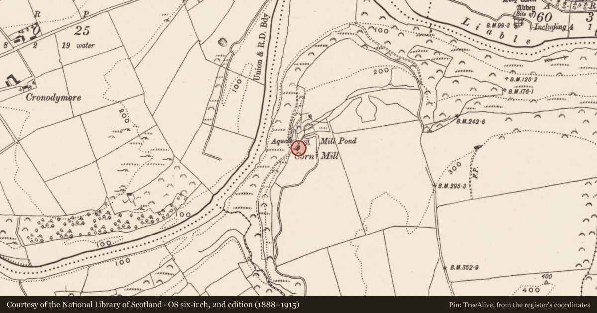 Ordnance Survey six-inch map, 2nd edition (1888–1915) covering the location of Mill - corn, Clashanure, County Cork, with a pin at the register's coordinates