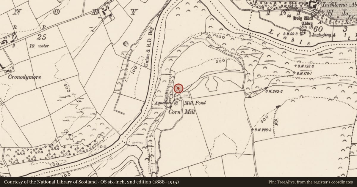 Ordnance Survey six-inch map, 2nd edition (1888–1915) covering the location of Mill - unclassified, Clashanure, County Cork, with a pin at the register's coordinates