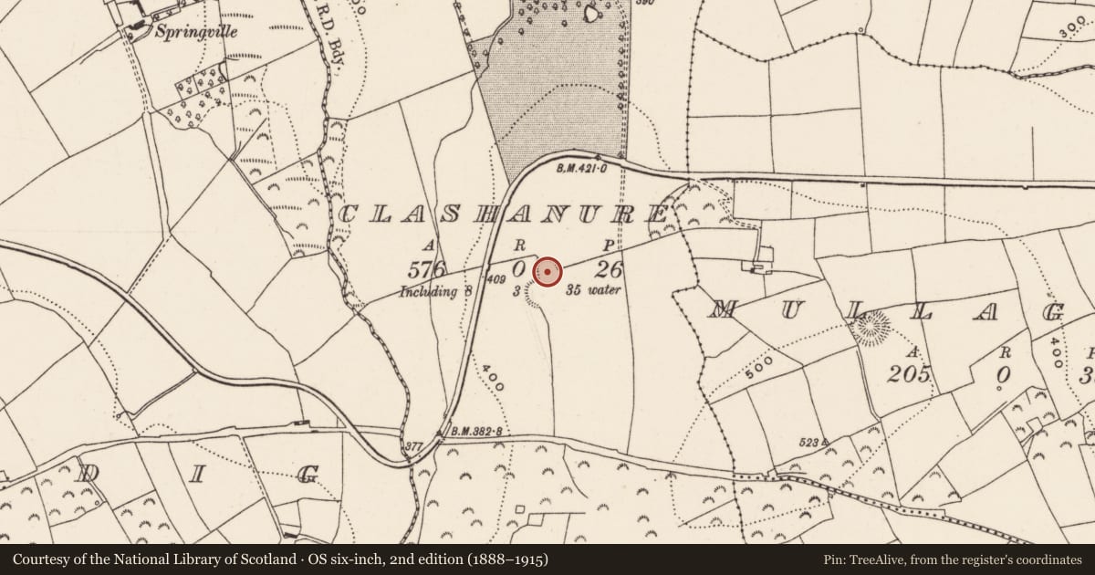 Ordnance Survey six-inch map, 2nd edition (1888–1915) covering the location of Ringfort - rath, Clashanure, County Cork, with a pin at the register's coordinates