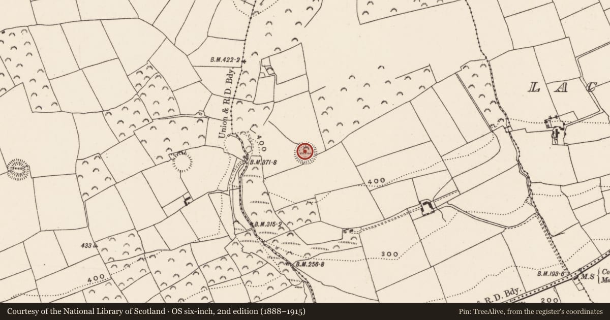 Ordnance Survey six-inch map, 2nd edition (1888–1915) covering the location of Ringfort - rath, Clashanure, County Cork, with a pin at the register's coordinates