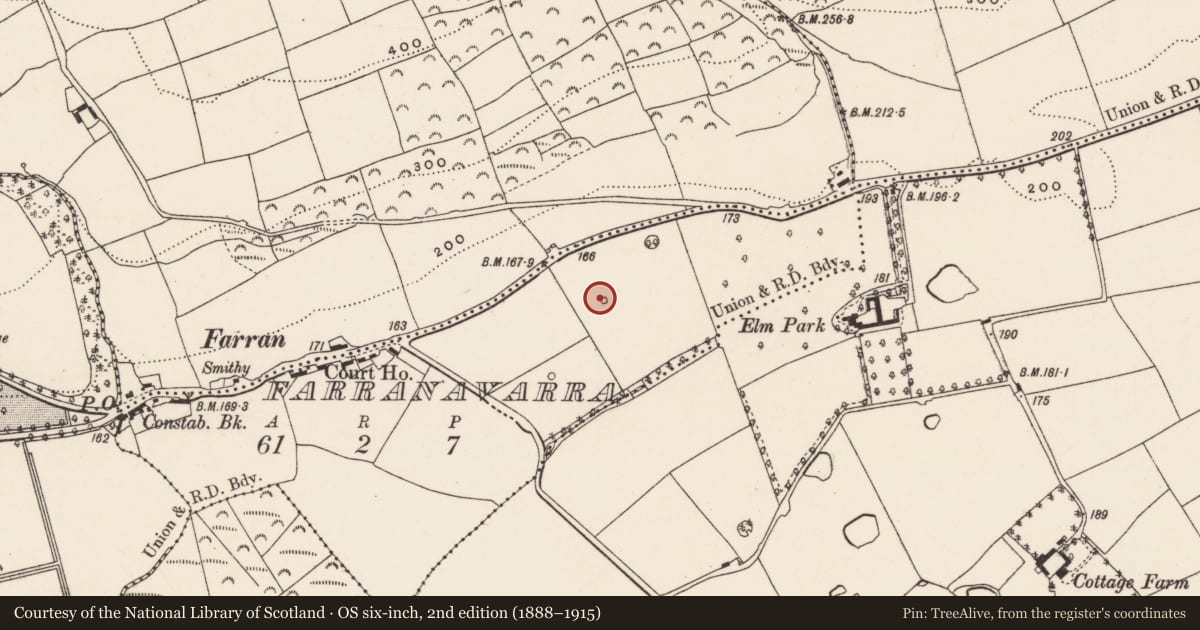 Ordnance Survey six-inch map, 2nd edition (1888–1915) covering the location of Designed landscape - tree-ring, Farranavarra, County Cork, with a pin at the register's coordinates