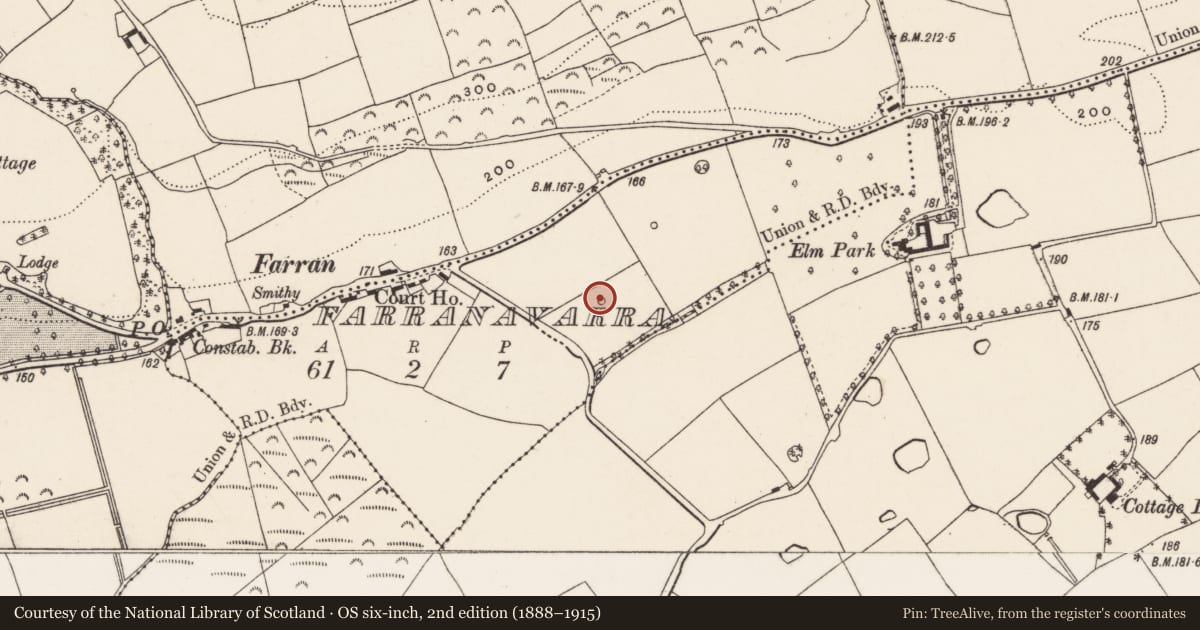 Ordnance Survey six-inch map, 2nd edition (1888–1915) covering the location of Designed landscape - tree-ring, Farranavarra, County Cork, with a pin at the register's coordinates