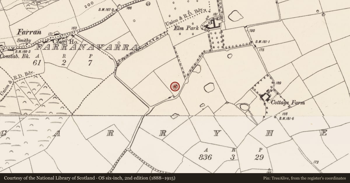 Ordnance Survey six-inch map, 2nd edition (1888–1915) covering the location of Designed landscape - tree-ring, Garryhesty, County Cork, with a pin at the register's coordinates