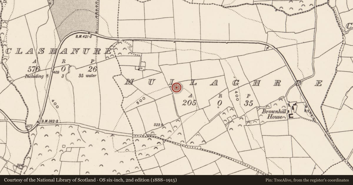 Ordnance Survey six-inch map, 2nd edition (1888–1915) covering the location of Ringfort - rath, Mullaghroe, County Cork, with a pin at the register's coordinates