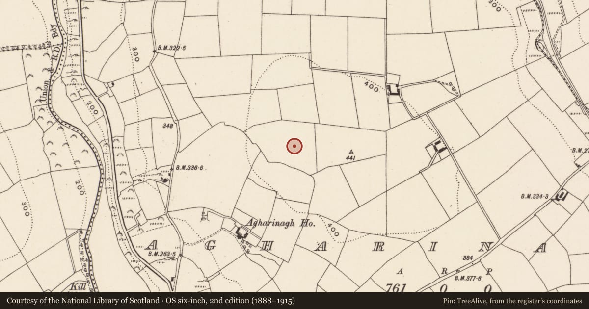 Ordnance Survey six-inch map, 2nd edition (1888–1915) covering the location of Anomalous stone group, Agharinagh, County Cork, with a pin at the register's coordinates