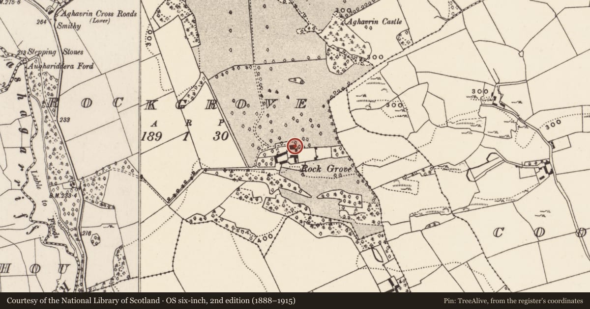 Ordnance Survey six-inch map, 2nd edition (1888–1915) covering the location of Country house, Rockgrove, County Cork, with a pin at the register's coordinates