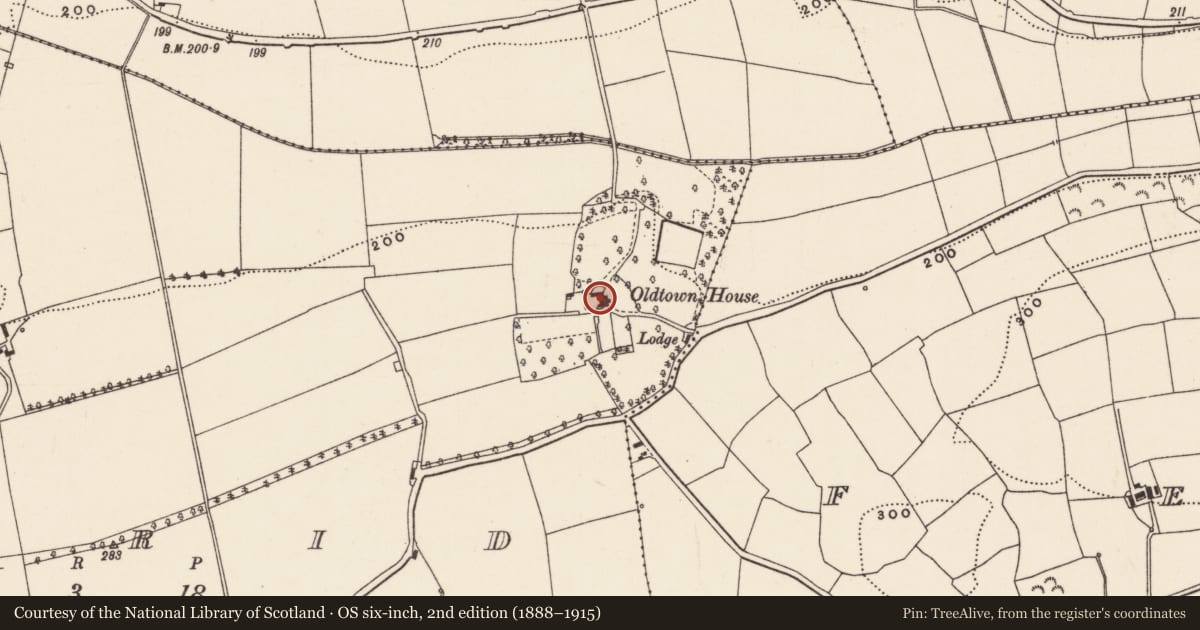 Ordnance Survey six-inch map, 2nd edition (1888–1915) covering the location of Fish-pond, Nadrid, County Cork, with a pin at the register's coordinates