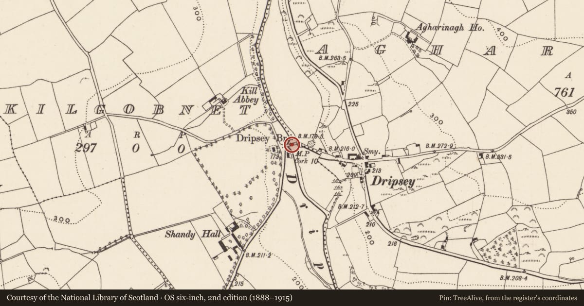 Ordnance Survey six-inch map, 2nd edition (1888–1915) covering the location of Bridge, Agharinagh, Kilgobnet, County Cork, with a pin at the register's coordinates
