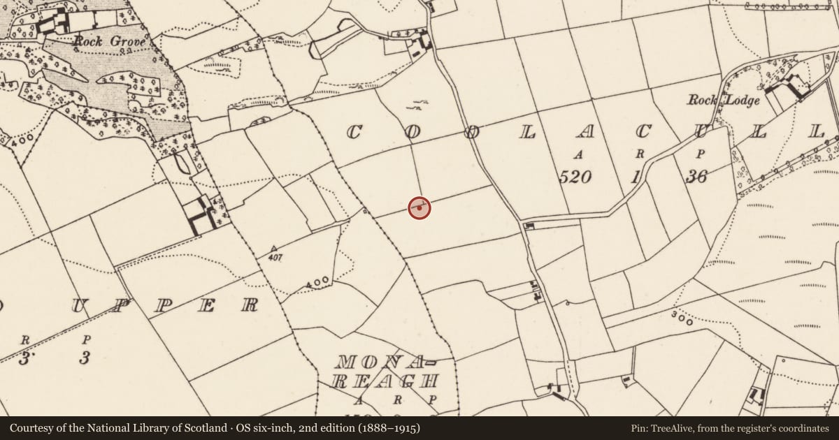 Ordnance Survey six-inch map, 2nd edition (1888–1915) covering the location of Fulacht fia, Coolacullig, County Cork, with a pin at the register's coordinates