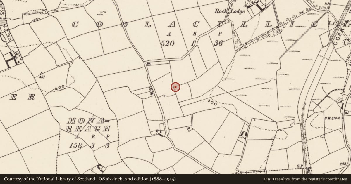 Ordnance Survey six-inch map, 2nd edition (1888–1915) covering the location of Fulacht fia, Coolacullig, County Cork, with a pin at the register's coordinates