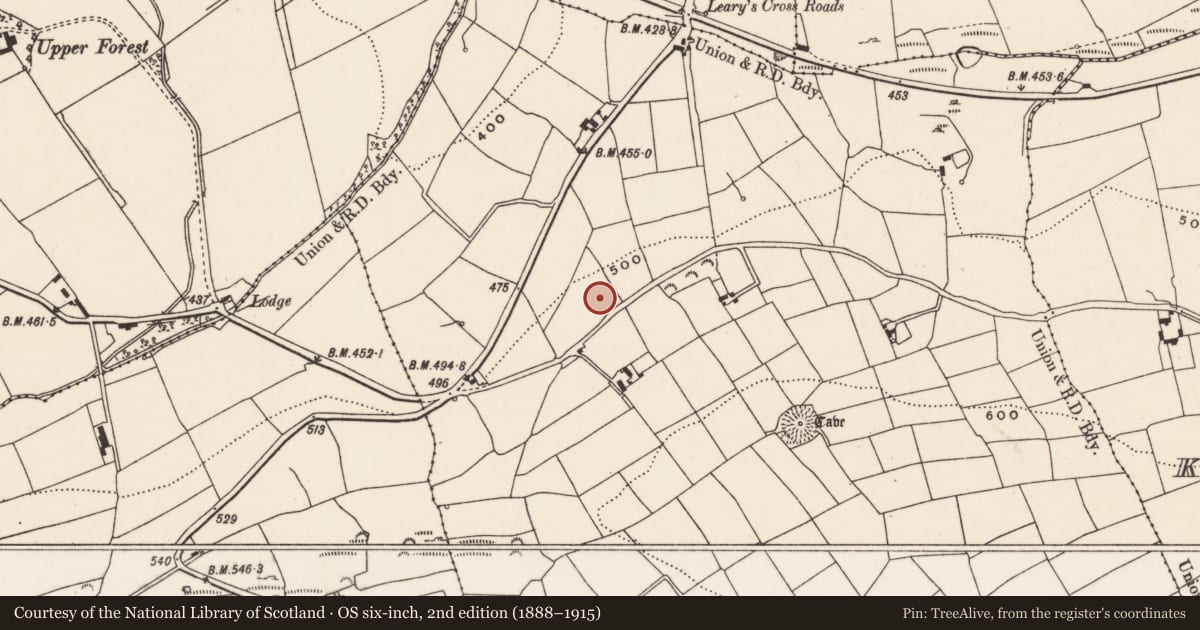 Ordnance Survey six-inch map, 2nd edition (1888–1915) covering the location of Souterrain, Knockshanawee, County Cork, with a pin at the register's coordinates