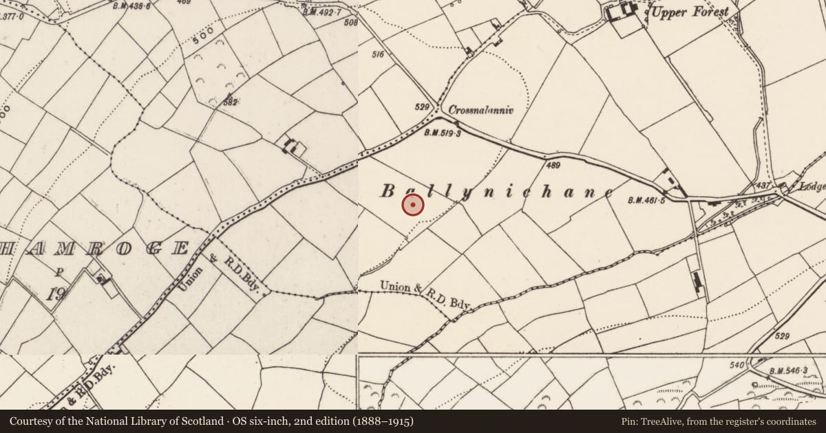 Ordnance Survey six-inch map, 2nd edition (1888–1915) covering the location of Souterrain, Rathonoane, County Cork, with a pin at the register's coordinates