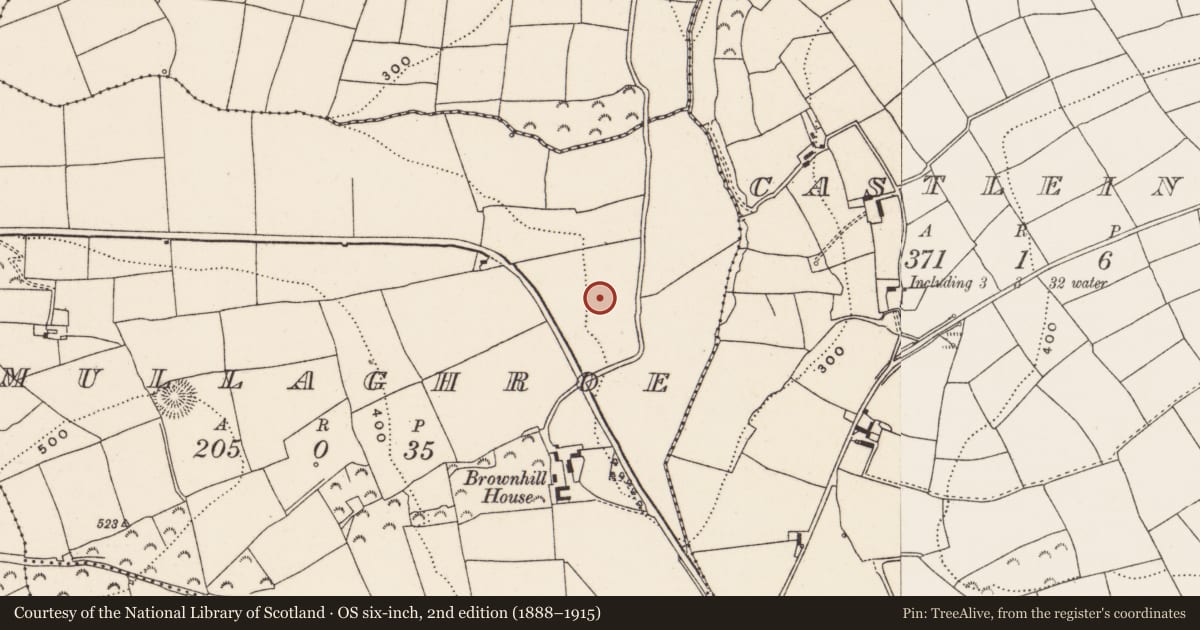 Ordnance Survey six-inch map, 2nd edition (1888–1915) covering the location of Souterrain, Mullaghroe, County Cork, with a pin at the register's coordinates