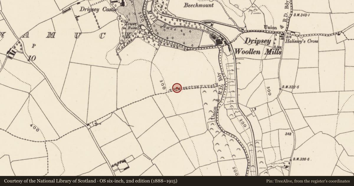 Ordnance Survey six-inch map, 2nd edition (1888–1915) covering the location of Fulacht fia, Carrignamuck, County Cork, with a pin at the register's coordinates