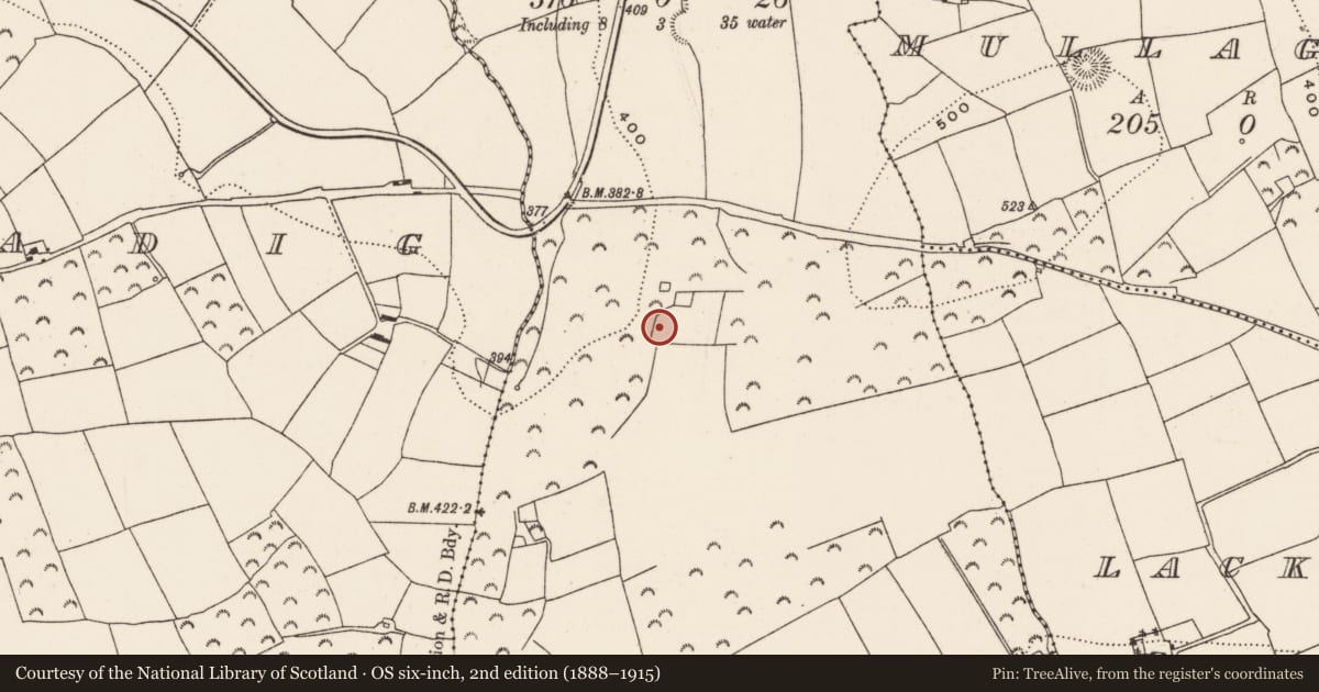 Ordnance Survey six-inch map, 2nd edition (1888–1915) covering the location of Fulacht fia, Clashanure, County Cork, with a pin at the register's coordinates