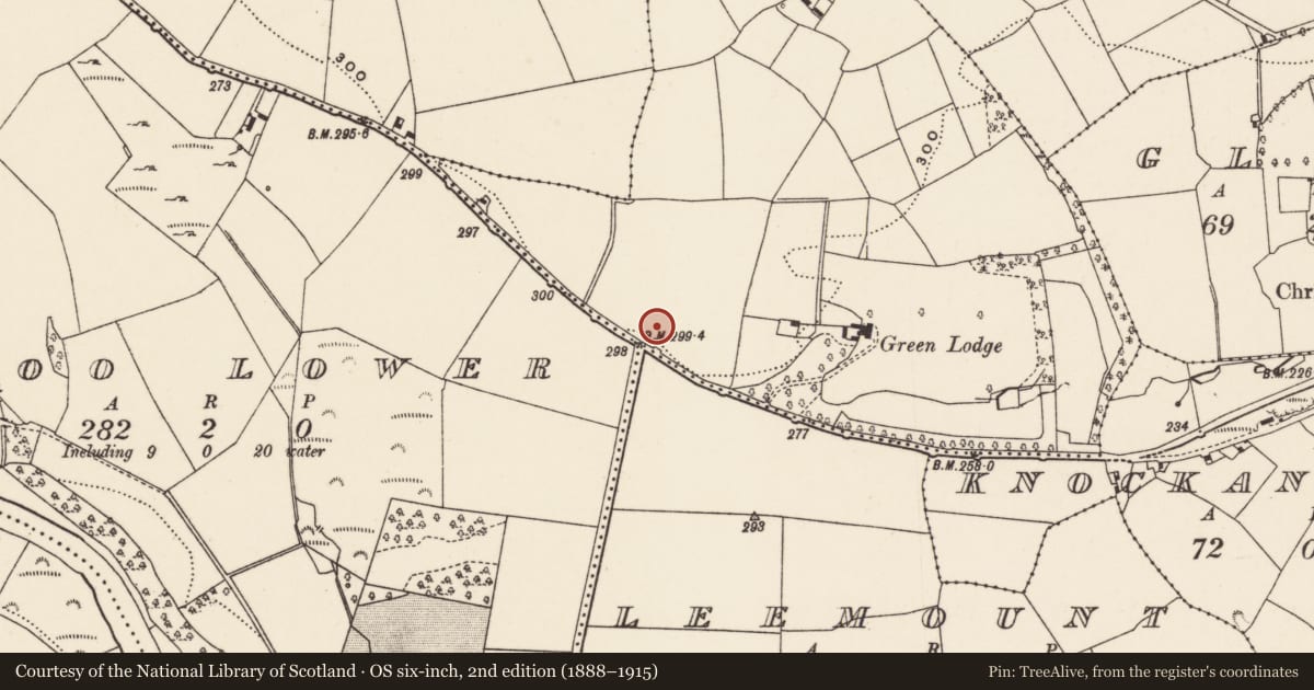 Ordnance Survey six-inch map, 2nd edition (1888–1915) covering the location of Souterrain, Monareagh, County Cork, with a pin at the register's coordinates