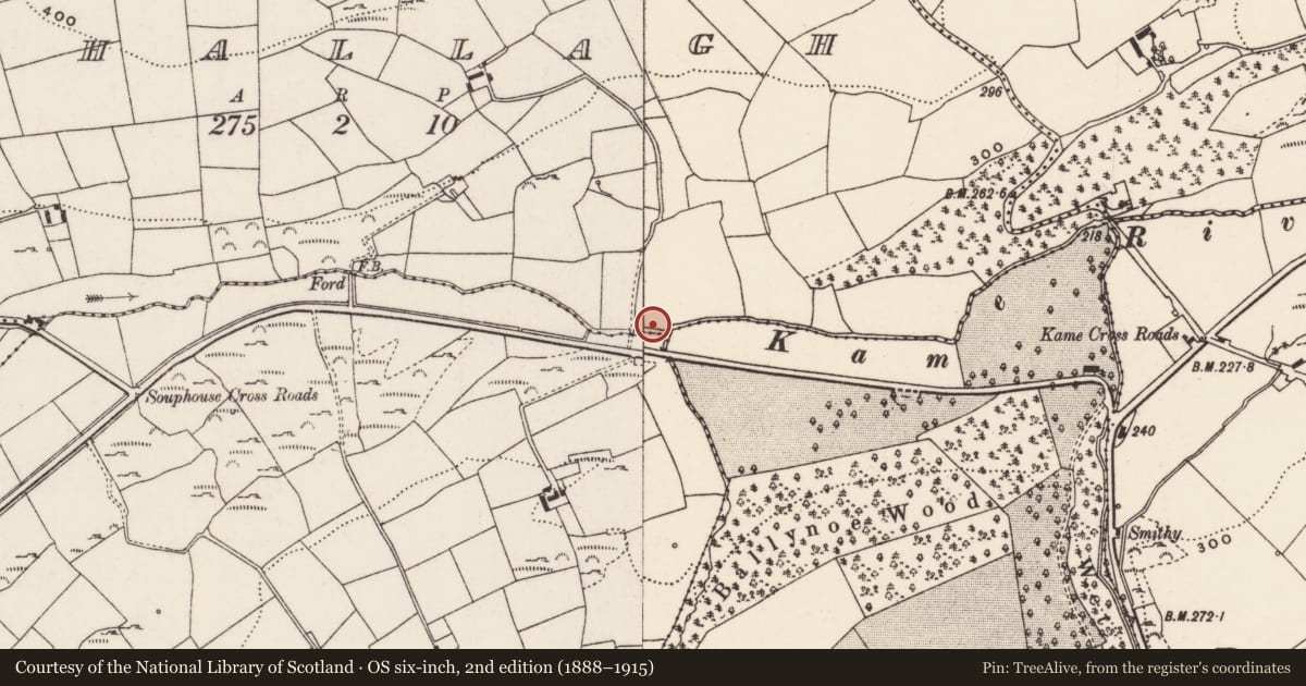 Ordnance Survey six-inch map, 2nd edition (1888–1915) covering the location of Fulacht fia, Mahallagh, County Cork, with a pin at the register's coordinates