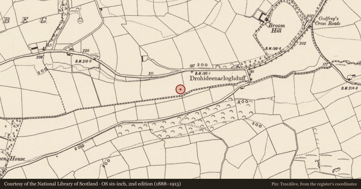 Ordnance Survey six-inch map, 2nd edition (1888–1915) covering the location of Fulacht fia, Derreen, County Cork, with a pin at the register's coordinates