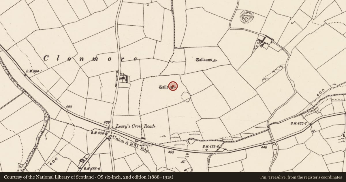 Ordnance Survey six-inch map, 2nd edition (1888–1915) covering the location of Cupmarked stone, Rooves More, County Cork, with a pin at the register's coordinates