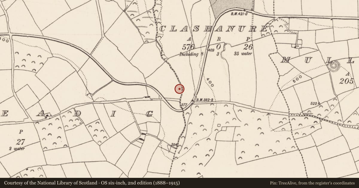 Ordnance Survey six-inch map, 2nd edition (1888–1915) covering the location of Fulacht fia, Ballineadig, County Cork, with a pin at the register's coordinates