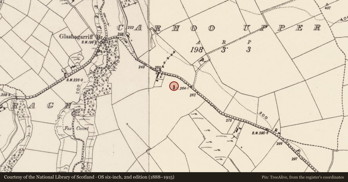 Ordnance Survey six-inch map, 2nd edition (1888–1915) covering the location of Fulacht fia, Carhoo Lower, County Cork, with a pin at the register's coordinates