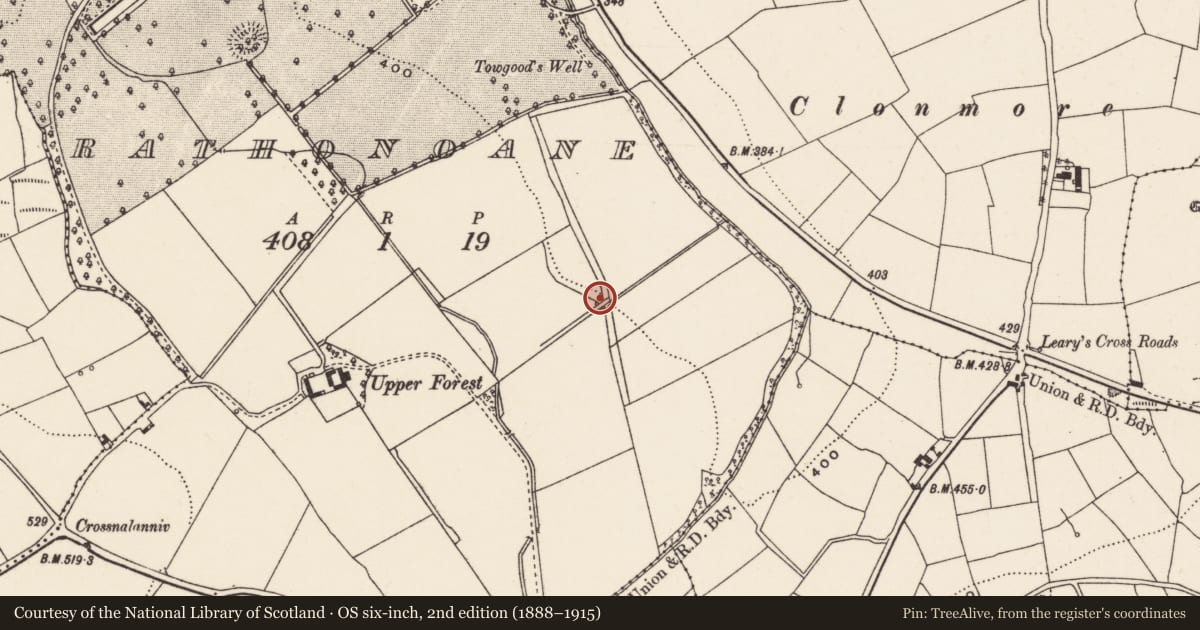 Ordnance Survey six-inch map, 2nd edition (1888–1915) covering the location of Fulacht fia, Rathonoane, County Cork, with a pin at the register's coordinates