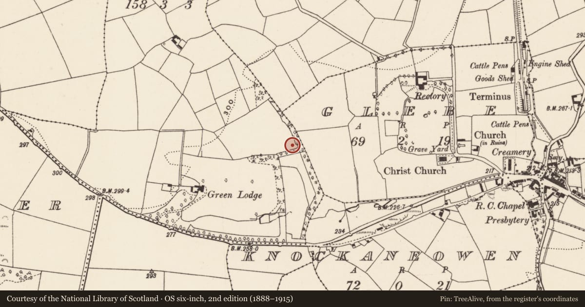 Ordnance Survey six-inch map, 2nd edition (1888–1915) covering the location of Fulacht fia, Monareagh, County Cork, with a pin at the register's coordinates