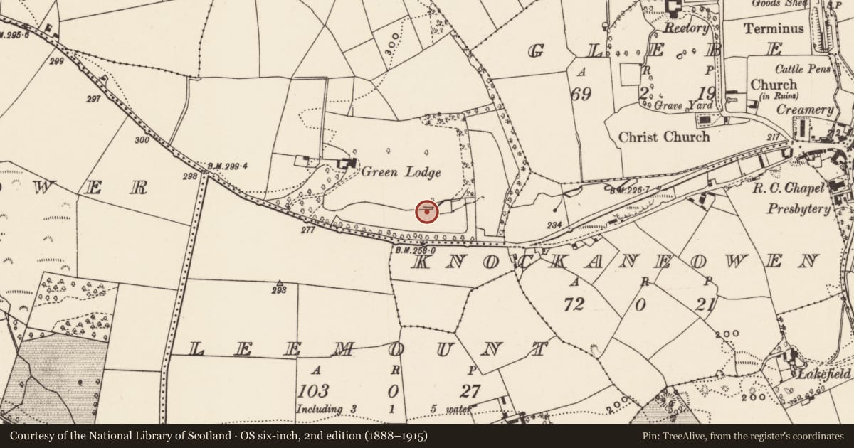 Ordnance Survey six-inch map, 2nd edition (1888–1915) covering the location of Fulacht fia, Monareagh, County Cork, with a pin at the register's coordinates