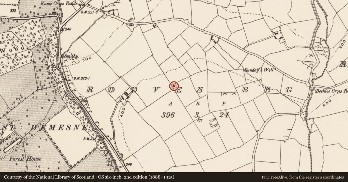 Ordnance Survey six-inch map, 2nd edition (1888–1915) covering the location of Souterrain, Rooves Beg, County Cork, with a pin at the register's coordinates