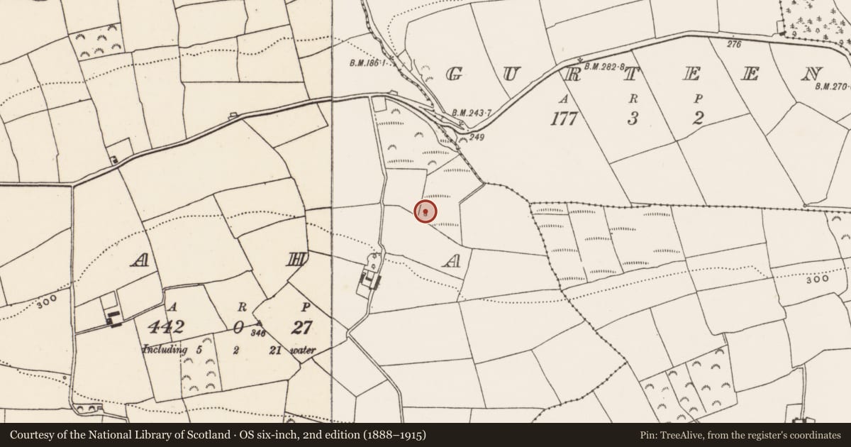 Ordnance Survey six-inch map, 2nd edition (1888–1915) covering the location of Fulacht fia, Faha, County Cork, with a pin at the register's coordinates