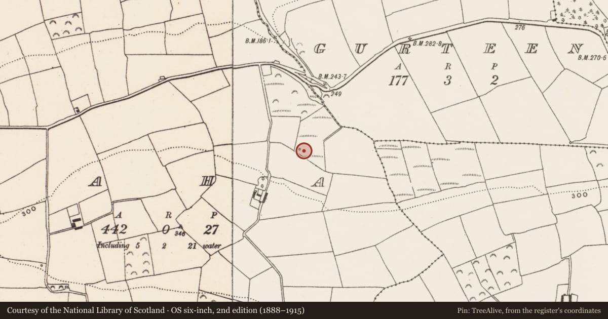 Ordnance Survey six-inch map, 2nd edition (1888–1915) covering the location of Fulacht fia, Faha, County Cork, with a pin at the register's coordinates