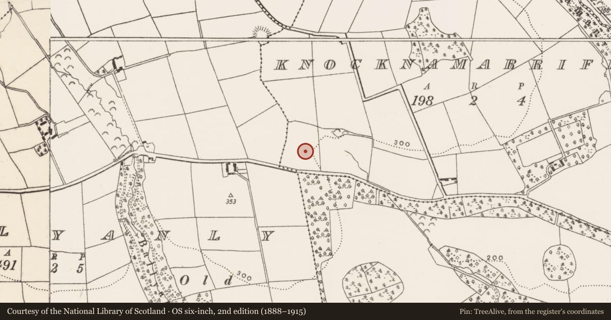 Ordnance Survey six-inch map, 2nd edition (1888–1915) covering the location of Fulacht fia, Knocknamarriff, County Cork, with a pin at the register's coordinates