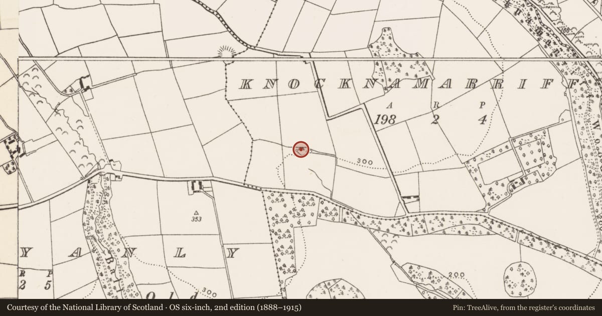 Ordnance Survey six-inch map, 2nd edition (1888–1915) covering the location of Fulacht fia, Knocknamarriff, County Cork, with a pin at the register's coordinates