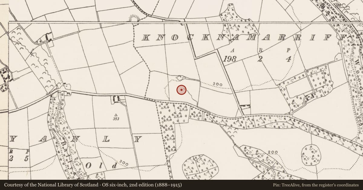 Ordnance Survey six-inch map, 2nd edition (1888–1915) covering the location of Fulacht fia, Knocknamarriff, County Cork, with a pin at the register's coordinates