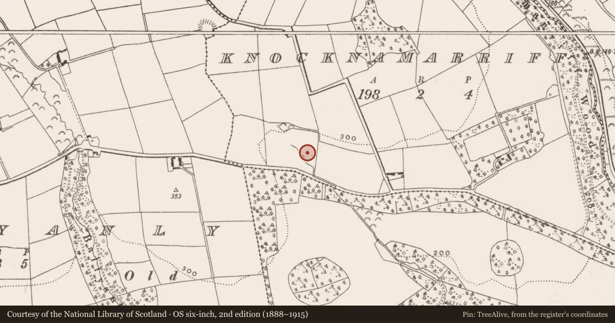 Ordnance Survey six-inch map, 2nd edition (1888–1915) covering the location of Fulacht fia, Knocknamarriff, County Cork, with a pin at the register's coordinates